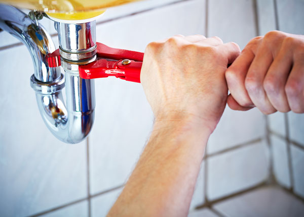 About Mistletoe Plumbers